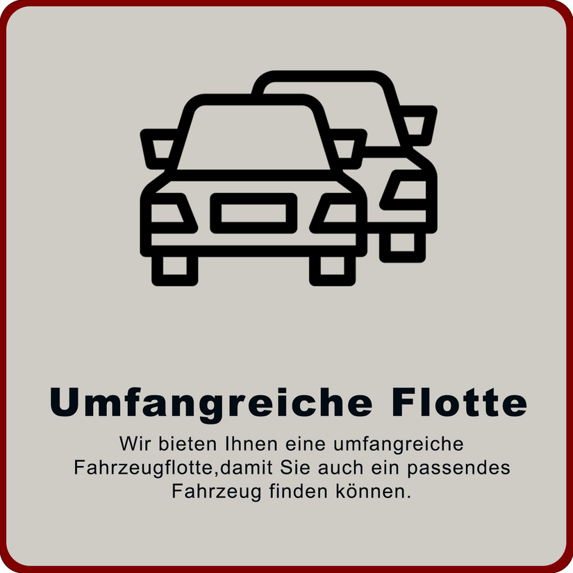 Umfangreiche Flotte Taxi Limousine Bern